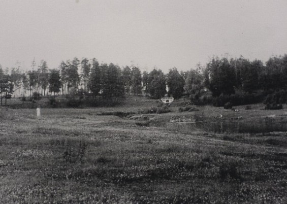 Раменский парк в 1950-е фото 6