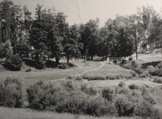 Раменский парк в 1950-е фото 5