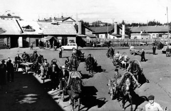 Конный двор в Раменском в 1968 году. Фабричный район