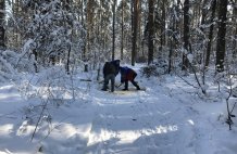 В Жуковском парке готовят лыжню