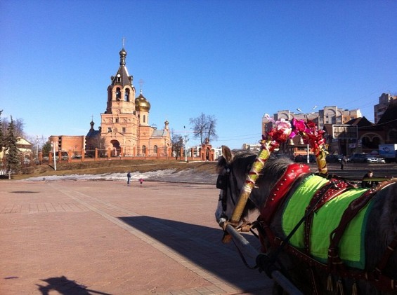 Народные гулянья в Раменском парке фото 7