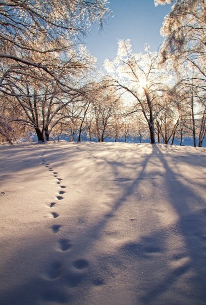 Зима фото 7