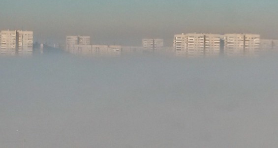 Юлия Барсукова