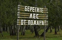 В этом году повторения масштабных пожаров 2010 года не будет. Подмосковье к пожароопасному периоду готово