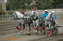 XV Чемпионат России русских троек “Раменское лето - 2014” пройдет на Раменском ипподроме.