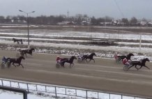 7 декабря на Раменском ипподроме прошли бега