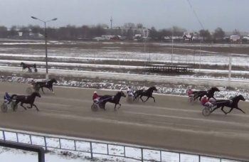 7 декабря на Раменском ипподроме прошли бега