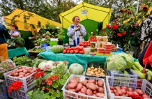 "Ценопад" в Раменском