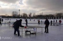 Чемпионат России по настольному теннису на коньках провели в соседних Люберцах