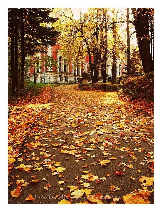 Осень в Усадьбе Быково фото 6
