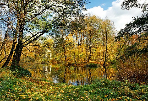 Осень в Усадьбе Быково фото 3