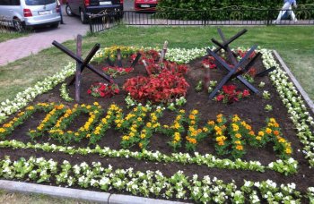 Традиционный конкурс цветников стартовал  11 июня.