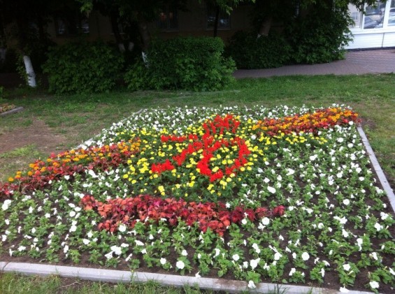 Традиционный конкурс цветников стартовал  11 июня. фото 8