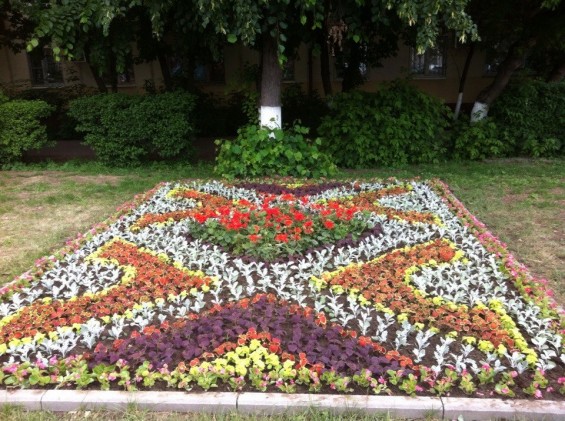 Традиционный конкурс цветников стартовал  11 июня. фото 7