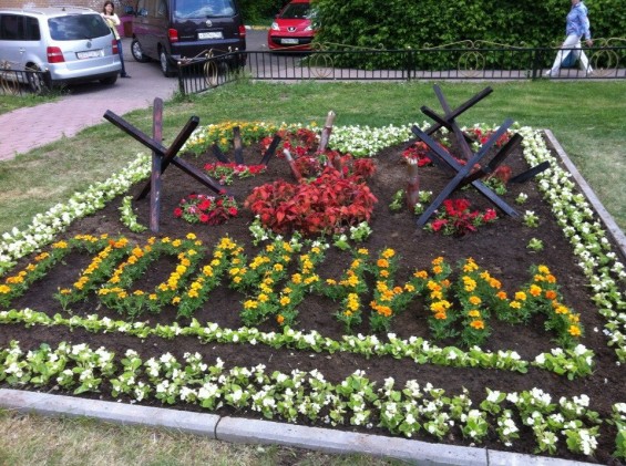 Традиционный конкурс цветников стартовал  11 июня. фото 9