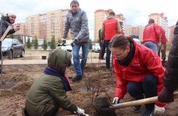 «Аллея героев» появилась на улице Левченко в городе Жуковском