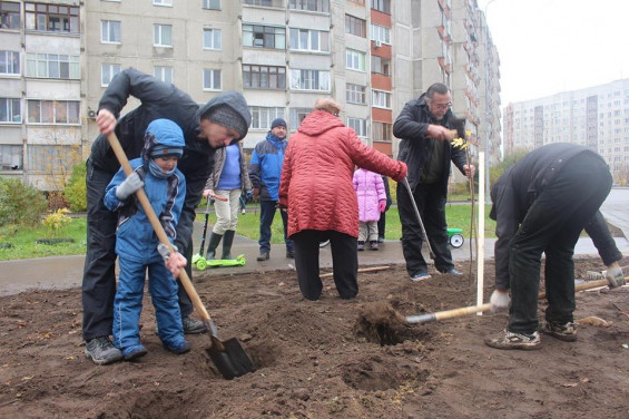 «Аллея героев» появилась на улице Левченко в городе Жуковском фото 4