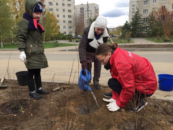 «Аллея героев» появилась на улице Левченко в городе Жуковском фото 3