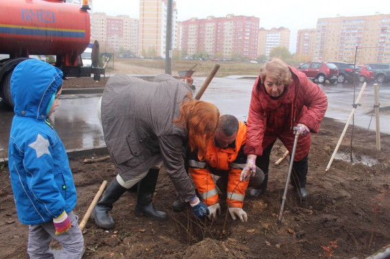 «Аллея героев» появилась на улице Левченко в городе Жуковском фото 9