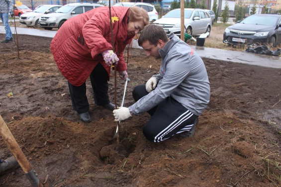 «Аллея героев» появилась на улице Левченко в городе Жуковском фото 10